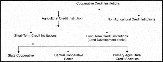 cooperative bank structure