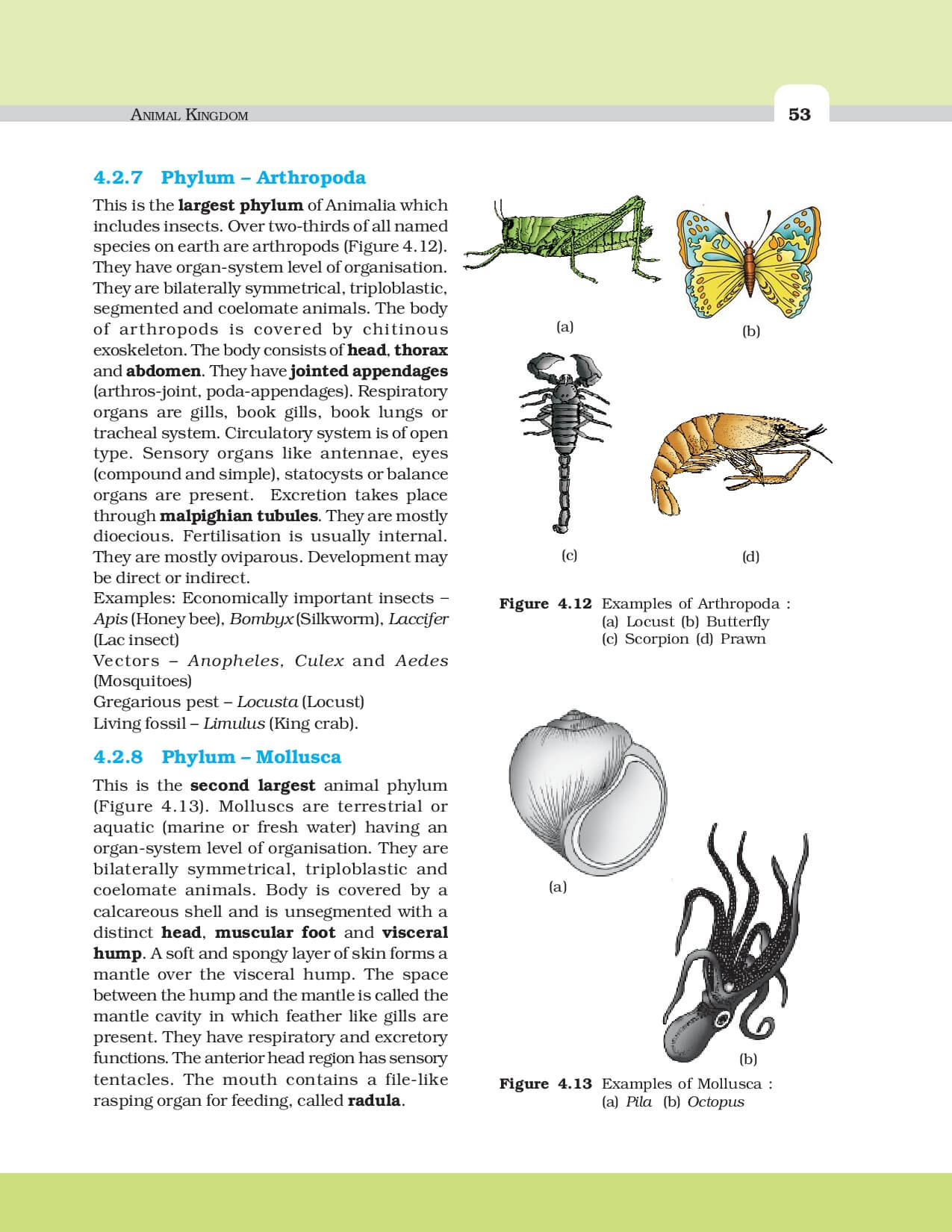 Biology 11 Questions And Answers