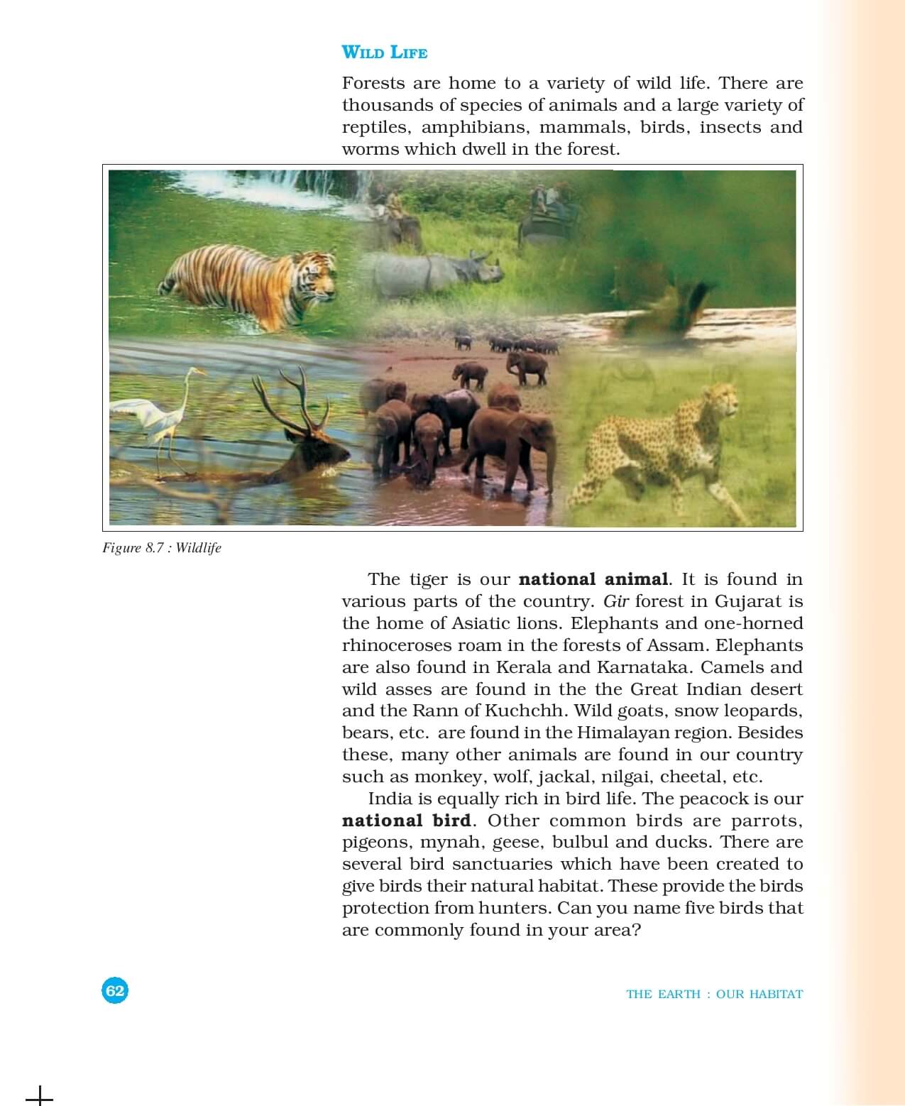 Geography ( Geography : The Earth Our Habitat ) - CBSE Class 6 ...